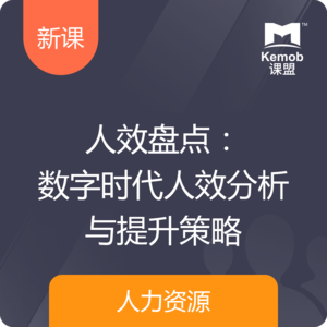 人效盤點：數字時代人效分析與提升策略
