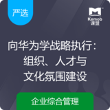 《向华为学战略执行：组织、人才与文化氛围建设》