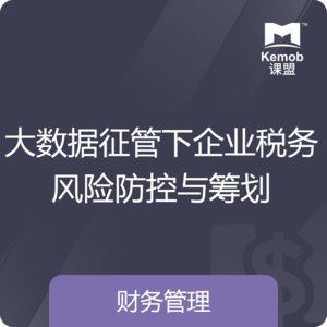 《大数据征管下企业税务风险防控与筹划》