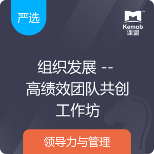 《组织发展 -- 高绩效团队共创工作坊》