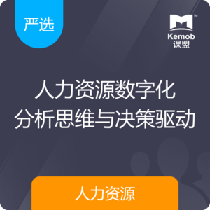 《人力资源数字化分析思维与决策驱动》